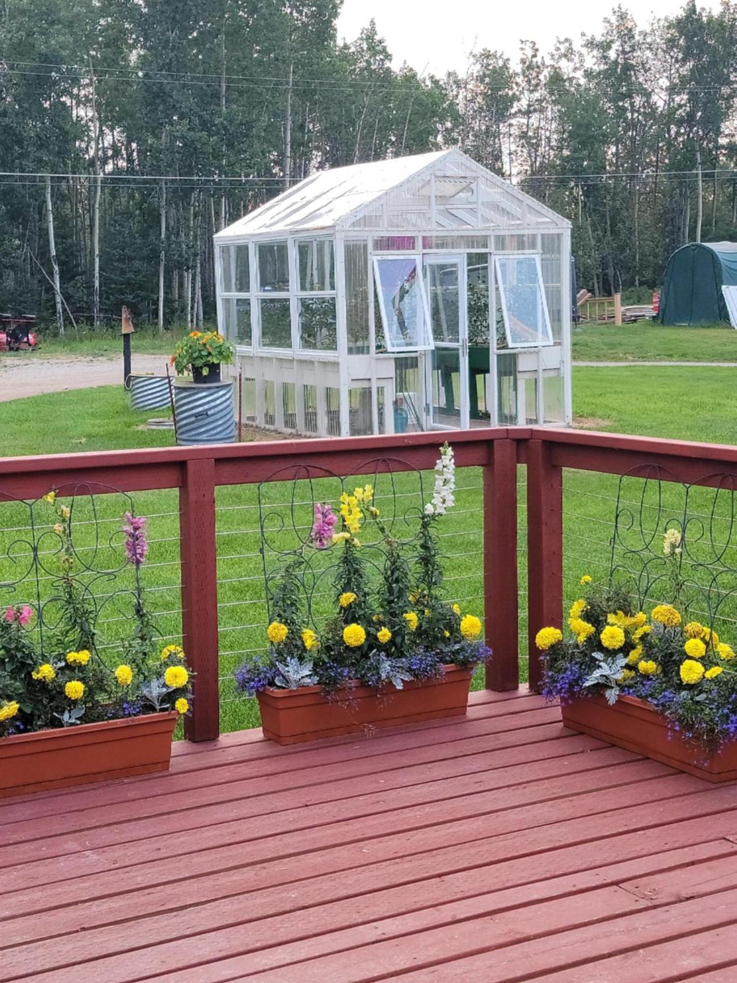 Alaska Country Inn Delta Junction Экстерьер фото